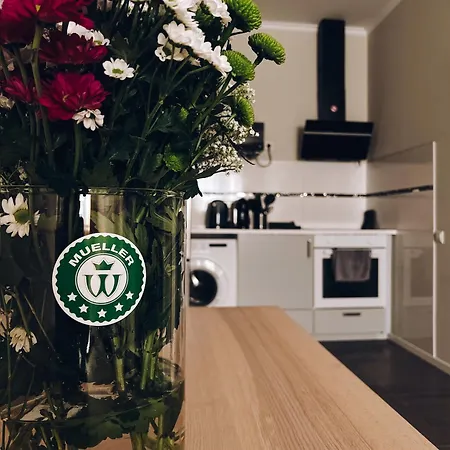 Ferienwohnung, Monteur-appartment R22 Apartment *